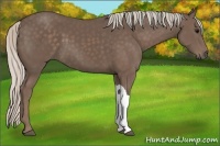 Horse Color:Silver Black 