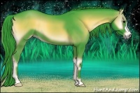 Horse Color:Watercolor Blue Onyx 