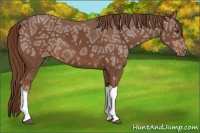 Horse Color:Chestnut Ice 