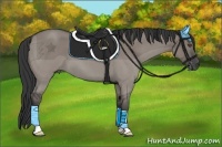 Horse Color:Grullo Roan 