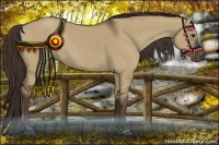 Horse Color:Liver Red Dun 