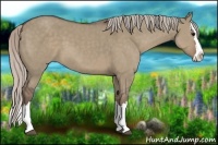 Horse Color:Silver Grullo Sabino Splash 