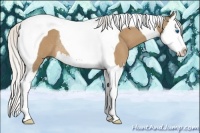 Horse Color:Silver Buckskin Splash Tobiano Rabicano