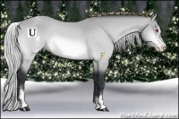 Horse Color:White Spotted Silver Bay Chinchilla Splash 