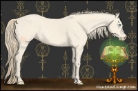 Horse Color:Perlino 