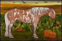 Horse Color:Silver Bay Splash Tobiano Frame  Brindle