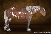 Horse Color:White Spotted Silver Bay 