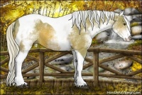 Horse Color:Watercolor White Spotted Silver Bay Tobiano Rabicano 