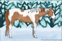 Horse Color:Chestnut Splash Tobiano