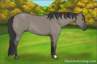 Horse Color:Smoky Grullo Roan 