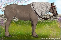 Horse Color:Silver Black 