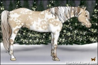 Horse Color:Grullo Pearl Splash Tobiano 