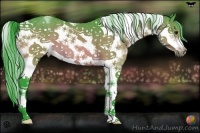 Horse Color:Watercolor Bay Sabino Frame
