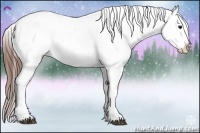 Horse Color:Brown Blanket 