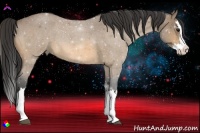 Horse Color:Buckskin Roan Splash 