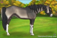 Horse Color:Blue Onyx 