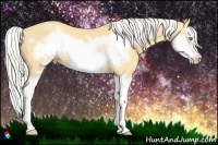 Horse Color:Silver Amber Cream Champagne Dun Splash Frame 