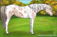 Horse Color:Bay Ice Tobiano Varnish 