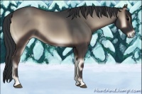 Horse Color:Blue Onyx Rabicano 