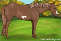 Horse Color:Chestnut Frame