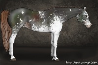 Horse Color:White Spotted Liver Chestnut 