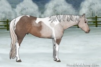 Horse Color:Silver Black Tobiano 