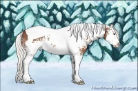 Horse Color:White Spotted Silver Bay Splash Tobiano