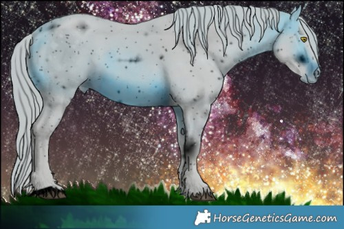 Horse Color:ERROR: UNKNOWN ANOMALY