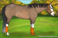 Horse Color:Bay Roan Dun Splash