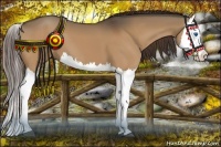 Horse Color:Liver Red Dun Splash