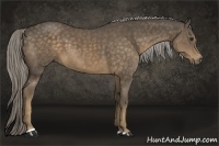 Horse Color:Chocolate Palomino Sabino 
