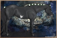 Horse Color:Black Frame 