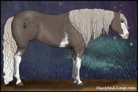 Horse Color:White Spotted Silver Black Splash