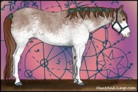 Horse Color:White Spotted Red Roan 