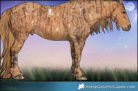 Horse Color:White Spotted Bay Sabino Frame Brindle