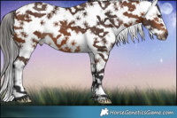 Horse Color:White Spotted Bay Sabino Frame  Brindle
