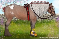 Horse Color:Silver Bay Appaloosa