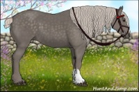 Horse Color:Silver Black 