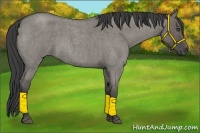 Horse Color:Smoky Grullo Roan 