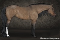 Horse Color:Bay Dun