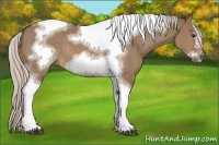 Horse Color:Silver Brown Dun Sabino Tobiano Frame Rabicano