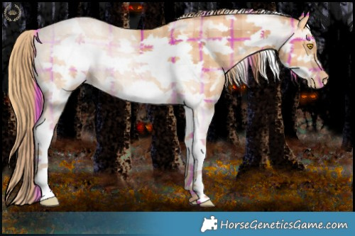 Horse Color:Plaid  White Spotted Bay Pearl Sabino Frame 