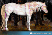 Horse Color:Plaid White Spotted Bay Pearl Sabino Frame