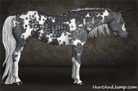 Horse Color:White Spotted Silver Black Chinchilla 