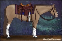 Horse Color:Classic Champagne