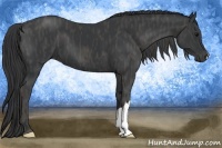 Horse Color:Black  Brindle