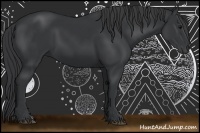 Horse Color:Black 