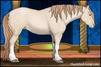Horse Color:Smoky Black Pearl 