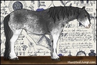 Horse Color:White Spotted Black 