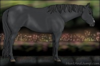 Horse Color:Black Frame